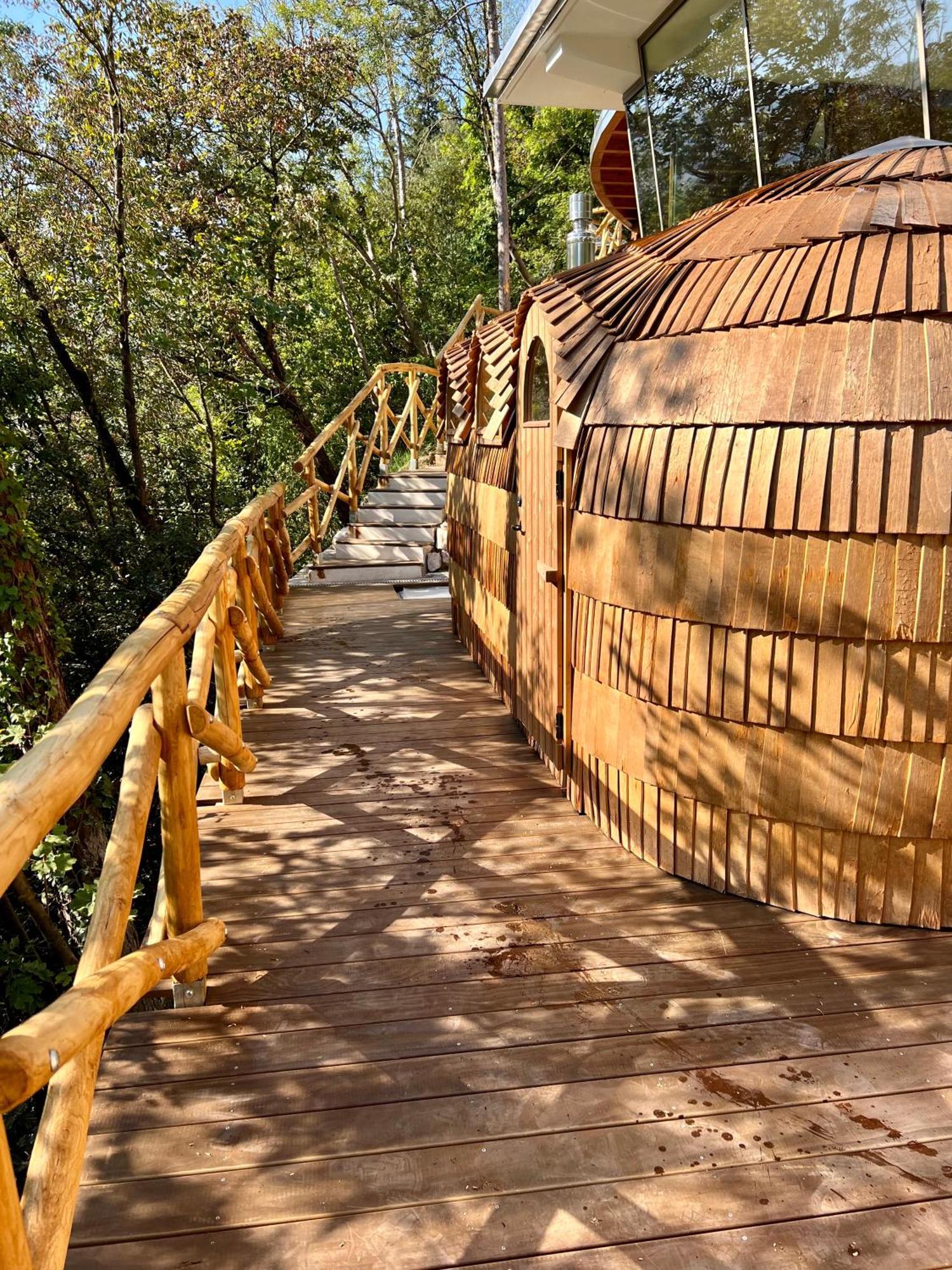 La Forestale Luxury Ecolodge Piano Terra- Appt 阿夸拉尼亚 外观 照片